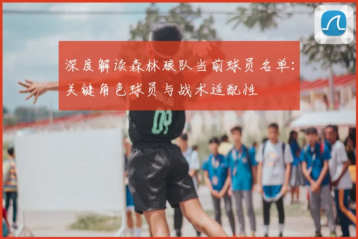 深度解读森林狼队当前球员名单：关键角色球员与战术适配性