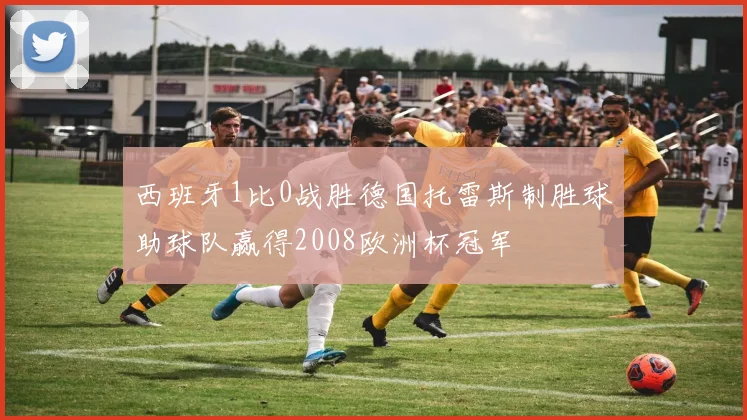 西班牙1比0战胜德国托雷斯制胜球助球队赢得2008欧洲杯冠军