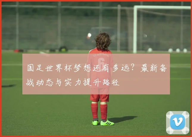 国足世界杯梦想还有多远？最新备战动态与实力提升路径