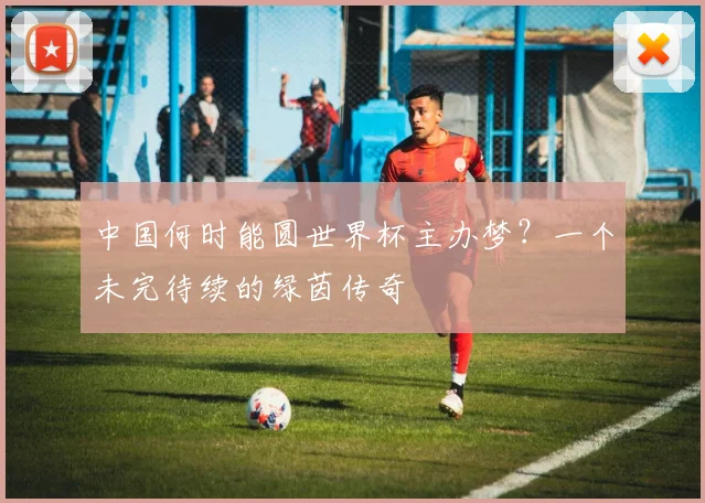 中国何时能圆世界杯主办梦?一个未完待续的绿茵传奇