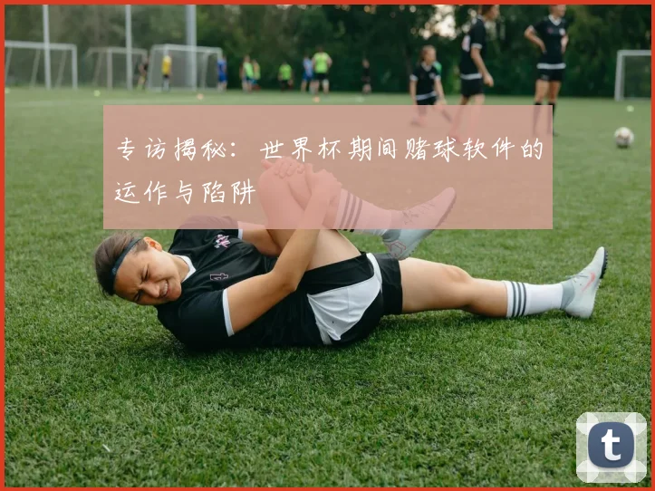 专访揭秘:世界杯期间赌球软件的运作与陷阱