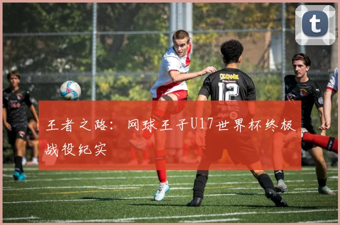王者之路:网球王子U17世界杯终极战役纪实